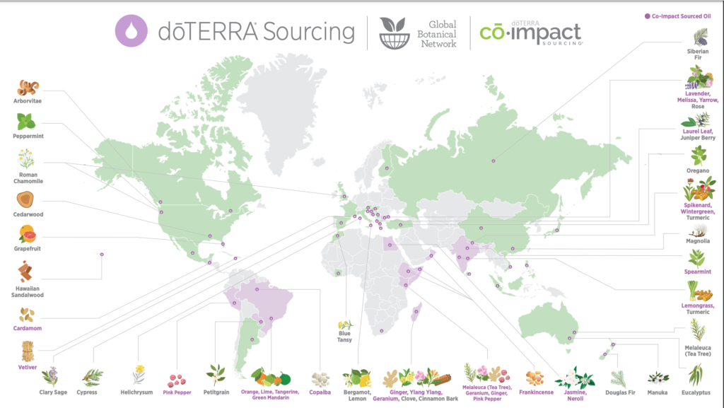 Bygger i doTERRA